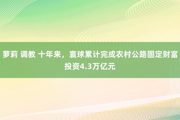 萝莉 调教 十年来，寰球累计完成农村公路固定财富投资4.3万亿元