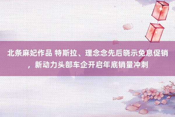 北条麻妃作品 特斯拉、理念念先后晓示免息促销，新动力头部车企开启年底销量冲刺