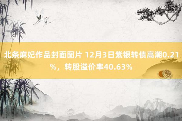 北条麻妃作品封面图片 12月3日紫银转债高潮0.21%，转股溢价率40.63%