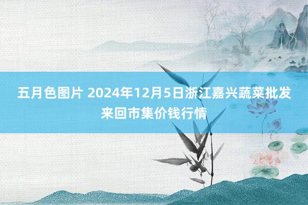 五月色图片 2024年12月5日浙江嘉兴蔬菜批发来回市集价钱行情