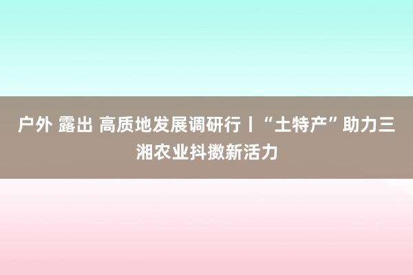 户外 露出 高质地发展调研行丨“土特产”助力三湘农业抖擞新活力