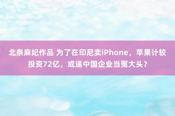 北条麻妃作品 为了在印尼卖iPhone，苹果计较投资72亿，或逼中国企业当冤大头？