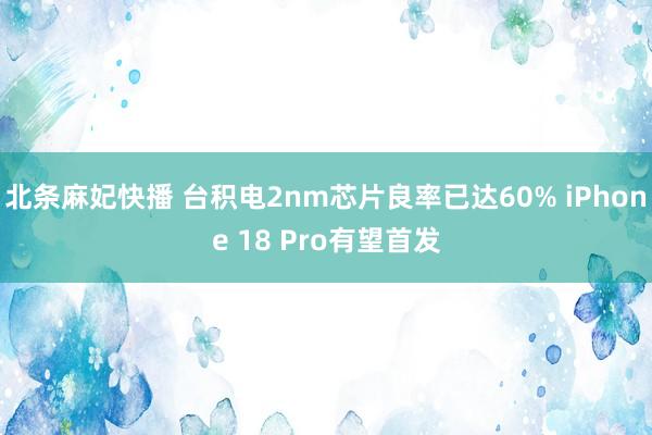 北条麻妃快播 台积电2nm芯片良率已达60% iPhone 18 Pro有望首发