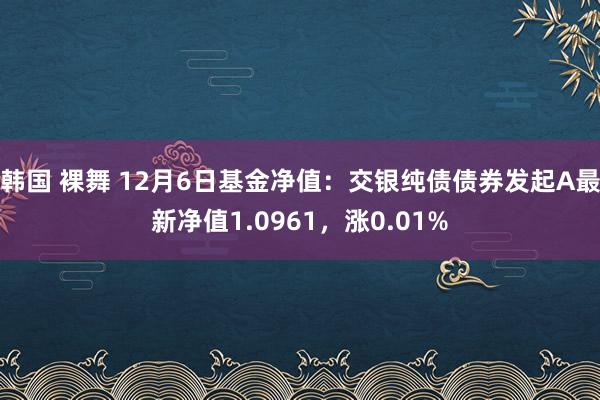 韩国 裸舞 12月6日基金净值：交银纯债债券发起A最新净值1.0961，涨0.01%