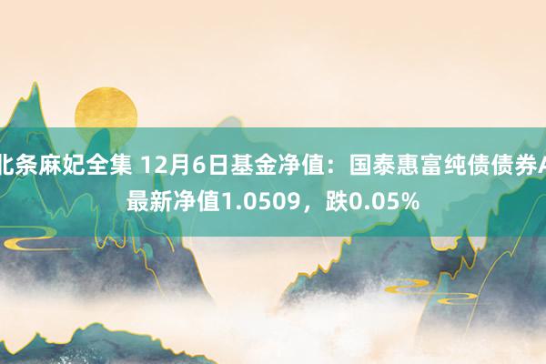 北条麻妃全集 12月6日基金净值：国泰惠富纯债债券A最新净值1.0509，跌0.05%