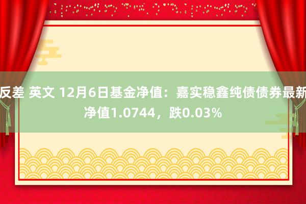 反差 英文 12月6日基金净值：嘉实稳鑫纯债债券最新净值1.0744，跌0.03%