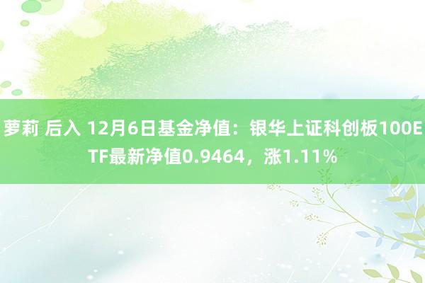 萝莉 后入 12月6日基金净值：银华上证科创板100ETF最新净值0.9464，涨1.11%