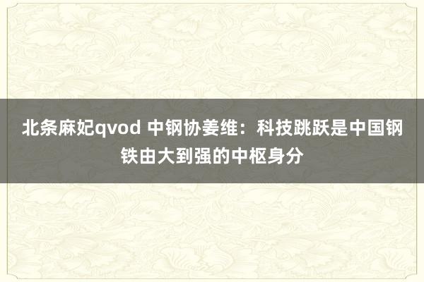 北条麻妃qvod 中钢协姜维：科技跳跃是中国钢铁由大到强的中枢身分