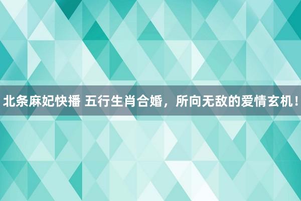 北条麻妃快播 五行生肖合婚，所向无敌的爱情玄机！