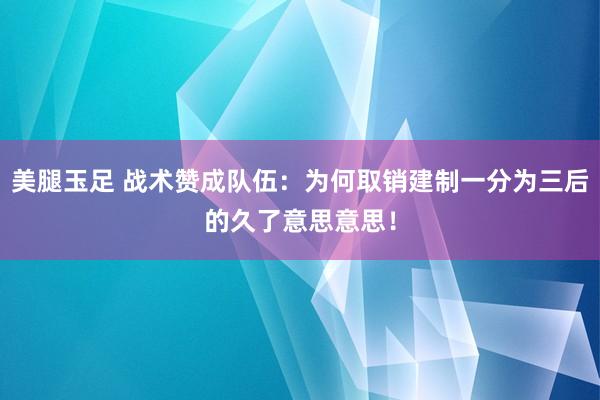 美腿玉足 战术赞成队伍：为何取销建制一分为三后的久了意思意思！