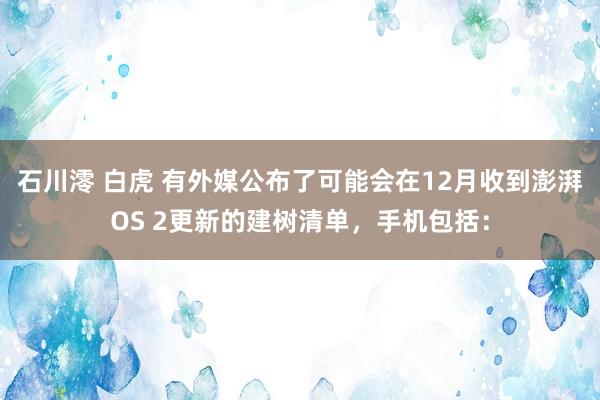 石川澪 白虎 有外媒公布了可能会在12月收到澎湃OS 2更新的建树清单，手机包括：