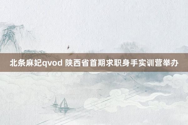 北条麻妃qvod 陕西省首期求职身手实训营举办