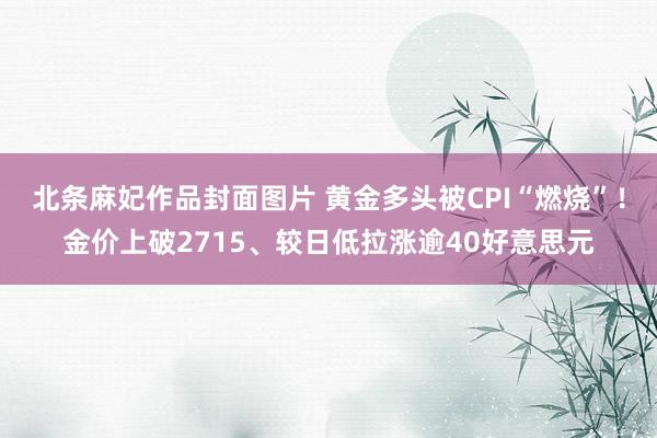 北条麻妃作品封面图片 黄金多头被CPI“燃烧”！金价上破2715、较日低拉涨逾40好意思元