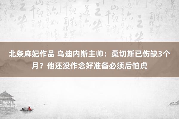 北条麻妃作品 乌迪内斯主帅：桑切斯已伤缺3个月？他还没作念好准备必须后怕虎