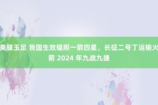 美腿玉足 我国生效辐照一箭四星，长征二号丁运输火箭 2024 年九战九捷