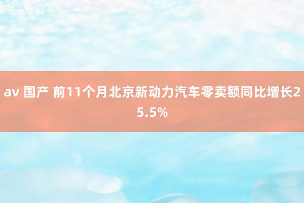 av 国产 前11个月北京新动力汽车零卖额同比增长25.5%