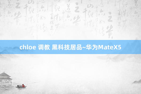 chloe 调教 黑科技居品~华为MateX5