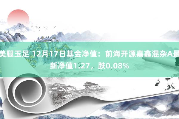 美腿玉足 12月17日基金净值：前海开源嘉鑫混杂A最新净值1.27，跌0.08%