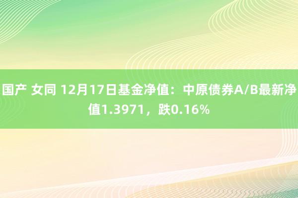 国产 女同 12月17日基金净值：中原债券A/B最新净值1.3971，跌0.16%