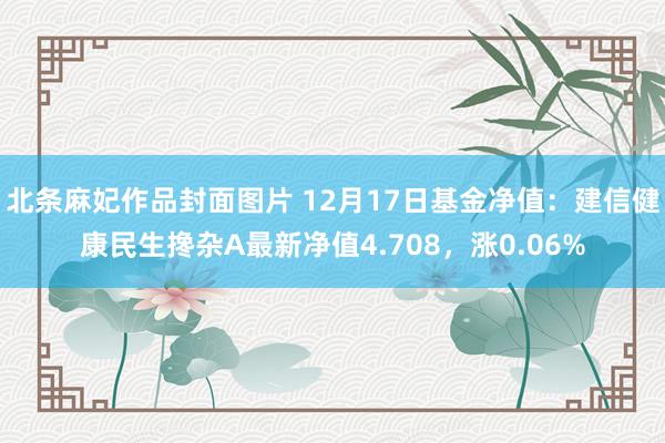 北条麻妃作品封面图片 12月17日基金净值：建信健康民生搀杂A最新净值4.708，涨0.06%