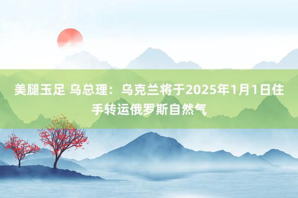 美腿玉足 乌总理：乌克兰将于2025年1月1日住手转运俄罗斯自然气