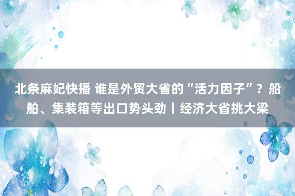 北条麻妃快播 谁是外贸大省的“活力因子”？船舶、集装箱等出口势头劲丨经济大省挑大梁