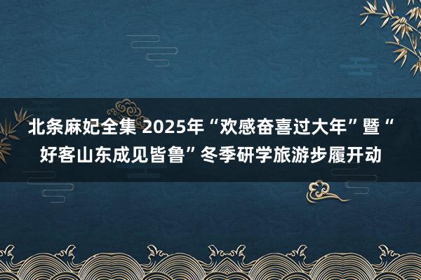 北条麻妃全集 2025年“欢感奋喜过大年”暨“好客山东成见皆鲁”冬季研学旅游步履开动