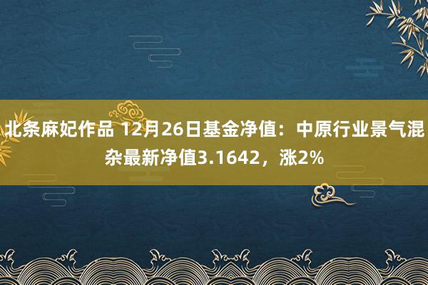 北条麻妃作品 12月26日基金净值：中原行业景气混杂最新净值3.1642，涨2%