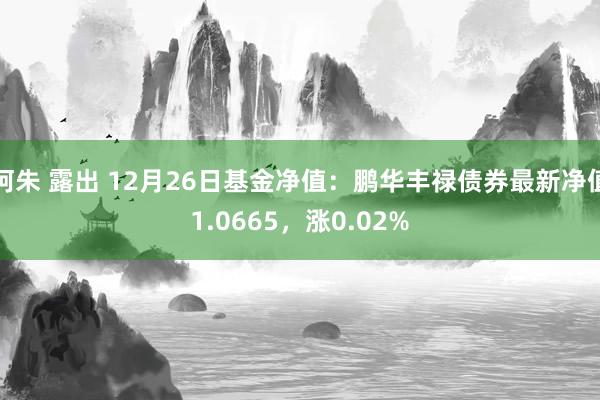 阿朱 露出 12月26日基金净值：鹏华丰禄债券最新净值1.0665，涨0.02%