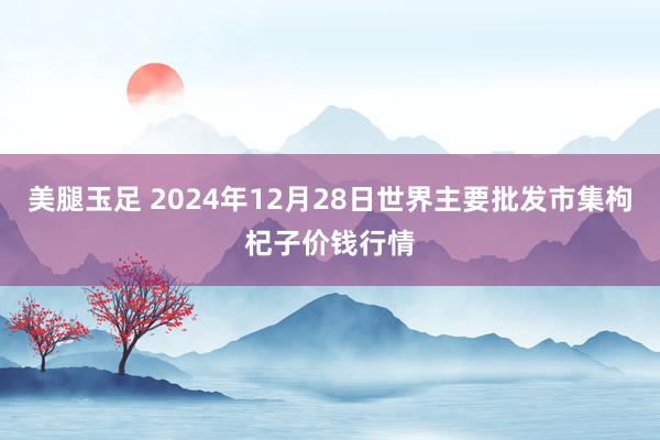 美腿玉足 2024年12月28日世界主要批发市集枸杞子价钱行情