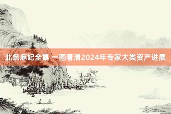 北条麻妃全集 一图看清2024年专家大类资产进展