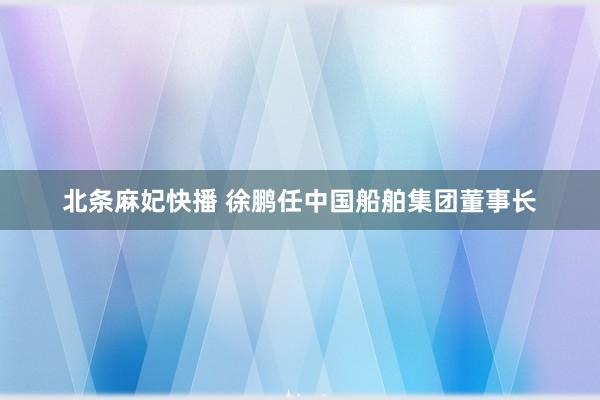 北条麻妃快播 徐鹏任中国船舶集团董事长