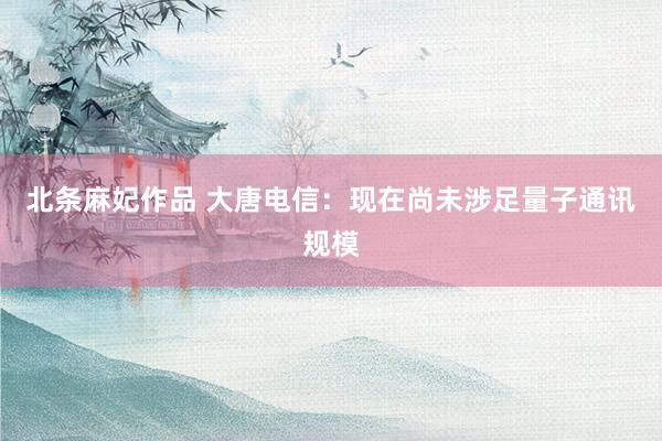 北条麻妃作品 大唐电信：现在尚未涉足量子通讯规模