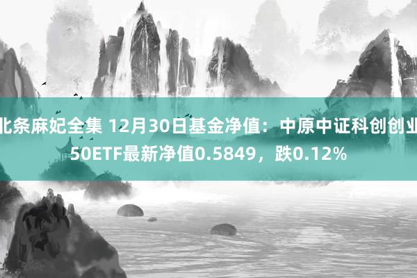 北条麻妃全集 12月30日基金净值：中原中证科创创业50ETF最新净值0.5849，跌0.12%