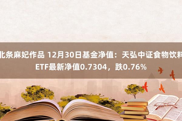 北条麻妃作品 12月30日基金净值：天弘中证食物饮料ETF最新净值0.7304，跌0.76%