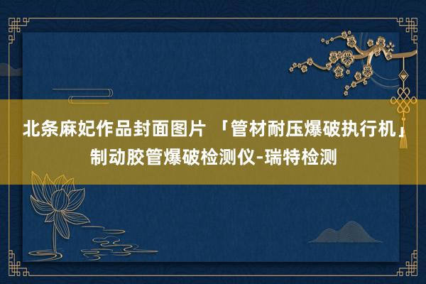 北条麻妃作品封面图片 「管材耐压爆破执行机」制动胶管爆破检测仪-瑞特检测