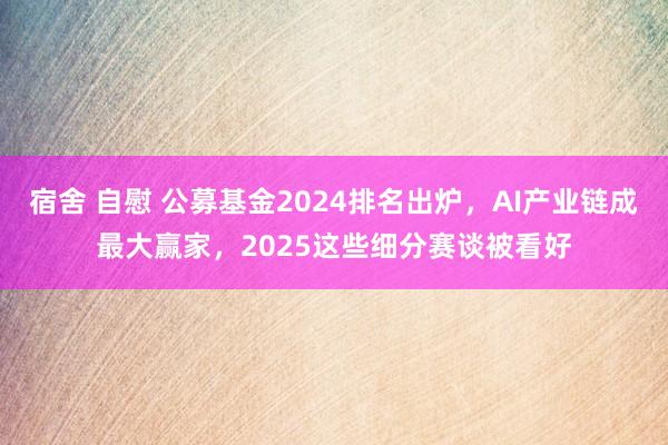 宿舍 自慰 公募基金2024排名出炉，AI产业链成最大赢家，2025这些细分赛谈被看好