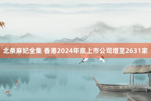 北条麻妃全集 香港2024年底上市公司增至2631家