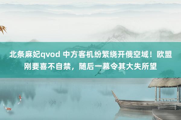 北条麻妃qvod 中方客机纷繁绕开俄空域！欧盟刚要喜不自禁，随后一幕令其大失所望