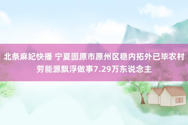 北条麻妃快播 宁夏固原市原州区稳内拓外已毕农村劳能源飘浮做事7.29万东说念主