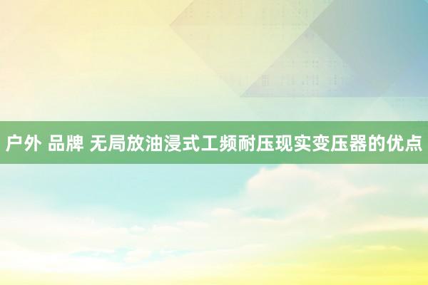 户外 品牌 无局放油浸式工频耐压现实变压器的优点