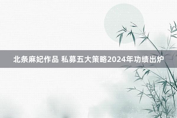 北条麻妃作品 私募五大策略2024年功绩出炉