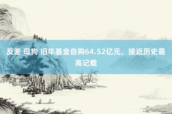 反差 母狗 旧年基金自购64.52亿元，接近历史最高记载