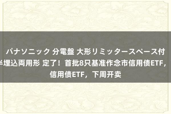 パナソニック 分電盤 大形リミッタースペース付 露出・半埋込両用形 定了！首批8只基准作念市信用债ETF，下周开卖