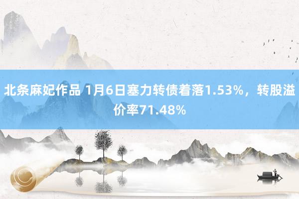 北条麻妃作品 1月6日塞力转债着落1.53%，转股溢价率71.48%