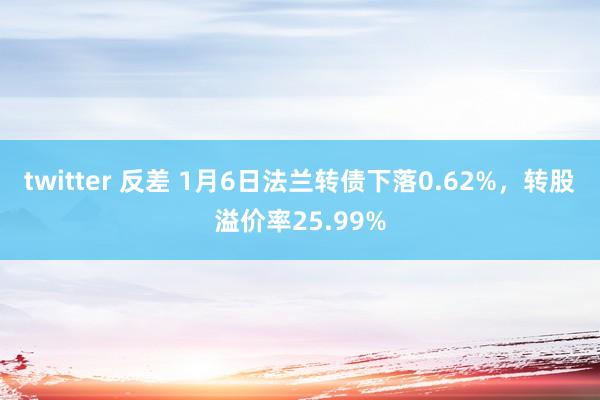 twitter 反差 1月6日法兰转债下落0.62%，转股溢价率25.99%