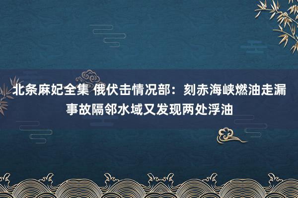 北条麻妃全集 俄伏击情况部：刻赤海峡燃油走漏事故隔邻水域又发现两处浮油