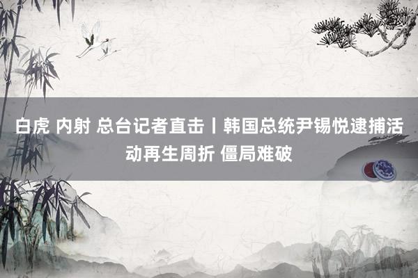 白虎 内射 总台记者直击丨韩国总统尹锡悦逮捕活动再生周折 僵局难破