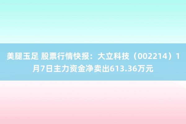 美腿玉足 股票行情快报：大立科技（002214）1月7日主力资金净卖出613.36万元