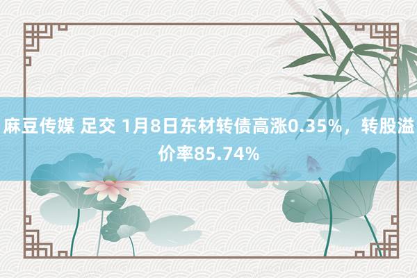 麻豆传媒 足交 1月8日东材转债高涨0.35%，转股溢价率85.74%